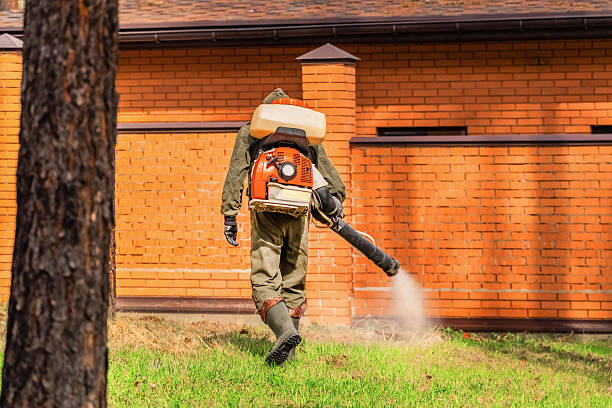 Trusted Termite Control service in Pelican Bay, FL - Nex Pest Control